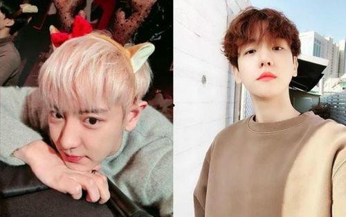 伯贤最新爆料,新作品背后的故事与灵感来源 第3张 伯贤最新爆料,新作品背后的故事与灵感来源 第3张