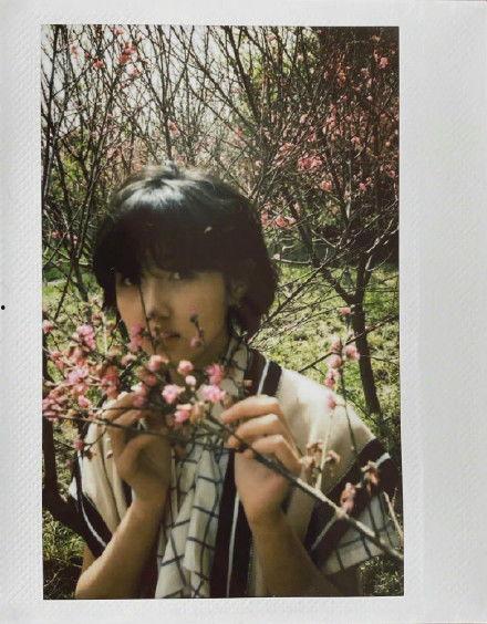 娱乐圈吃瓜爆料张新成,揭秘背后的真相与争议  第3张