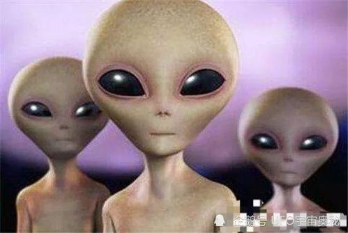 外星人最新爆料  第1张